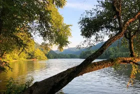 Photograph of Richmond’s Meadow Creek Hideaway, Meadow Creek