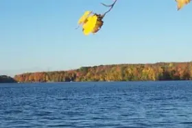 Photograph of Port Townsend Resort, Townsend