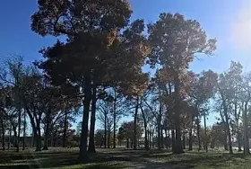 Photograph of Elkhorn Campgrounds, Elkhorn
