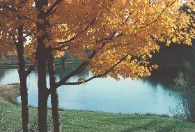 Photograph of Eagle Cave Natural Park, Blue River
