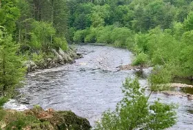 Photograph of Jackson County / East Arbutus Campground, Hatfield