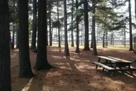 Photograph of Badger Park, Peshtigo