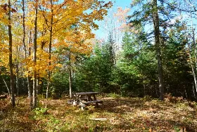 Photograph of Bark 'n' Beavers Wilderness Campground, Port Wing