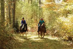 Photograph of Vilas County Equestrian Trails, Conover