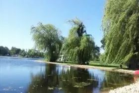 Photograph of Willow Mill Campsite, Rio