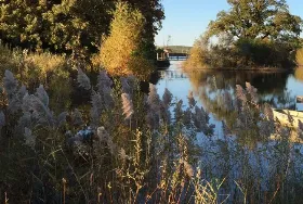 Photograph of Hickory Oaks Campground, Oshkosh