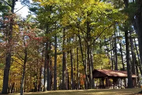 Photograph of Marathon Park, Wausau