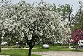 Photograph of Apple Creek Campground, De Pere