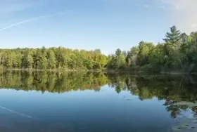 Photograph of Bladder Lake Campground, Iron River