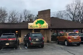 Photograph of Maple Tree, Mcfarland