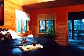 Photograph of Cabin at Trails End B&B, Kendall