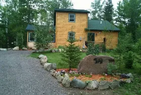 Photograph of Bear Watch, Ladysmith