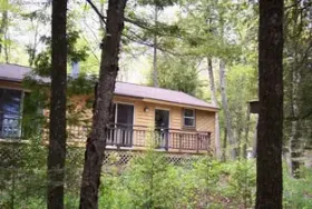 Photograph of Shadows Of Seagulls, Sturgeon Bay