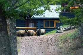 Photograph of Absaroka Mountain Lodge, Cody