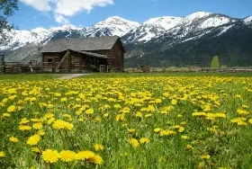 Photograph of R Lazy S Ranch, Teton Village