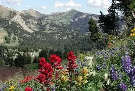 Photograph of Big Sandy Campground, Pinedale