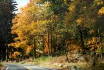 Photograph of Doherty's Mountain View Campground, Acra