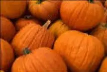 Photograph of Pumpkin Patch RV Resort, 