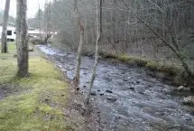 Photograph of Camping in the Smokies, Gatlinburg
