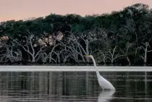 Photograph of Brackenridge Plantation Park & Campground, Edna