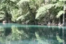 Photograph of River Ranch RV Resort, New Braunfels