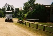 Photograph of Country Pines RV Park, Marshall