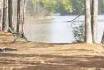 Photograph of Lowe's Creek Park, Hemphill