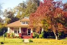 Photograph of The Faded Rose, Jefferson