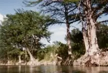 Photograph of Frio River Cabins, Leakey