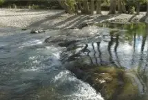 Photograph of River Haven Cabins On The Frio, Leakey