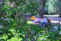 Photograph of Up The Creek Campground, Moab