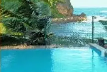 Photograph of Seagull at The Sea, Vega Alta
