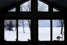 Photograph of Water's Edge Bed And Breakfast, Newport