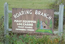 Photograph of Roaring Branch, Arlington