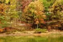 Photograph of Price Cabin Rentals - Wild Vines Log Cabin, Stanley