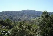 Photograph of The Cottage At Deer Run Mountain, Linden