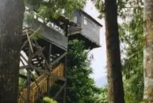 Photograph of Cedar Creek Treehouse, Ashford