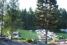 Photograph of Lake Mayfield RV Resort & Marina, Mossyrock