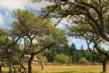 Photograph of Once In A Blue Moon Farm, Eastsound