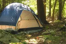 Photograph of Abrams Creek Campground, Elk Garden