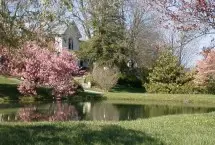 Photograph of Asa Cline House Bed & Breakfast, Yellow Spring