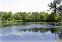 Photograph of Chain - o - lakes Resort & Campground, Eagle River