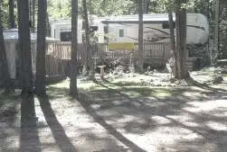 Photograph of Whitetail Ridge Campground / RV Park & Backwood Saloon, Sarona