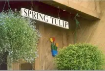 Photograph of Spring Tulip Cottage, Plymouth