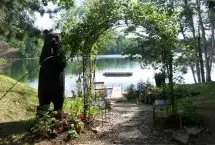 Photograph of Clear Lake Inn & Resort, Rhinelander
